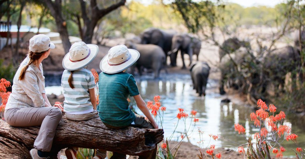 family safari