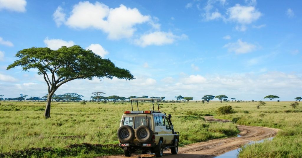 Safari Tours for Large Groups
