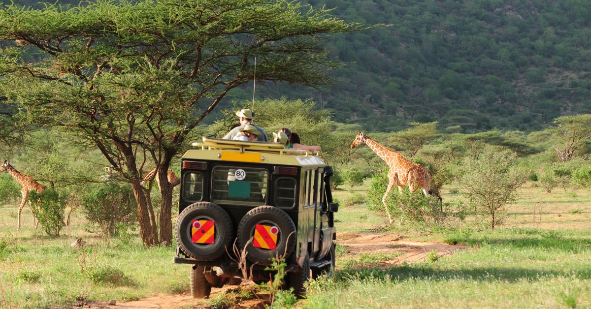 Safari Tours for Families